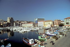 Savona