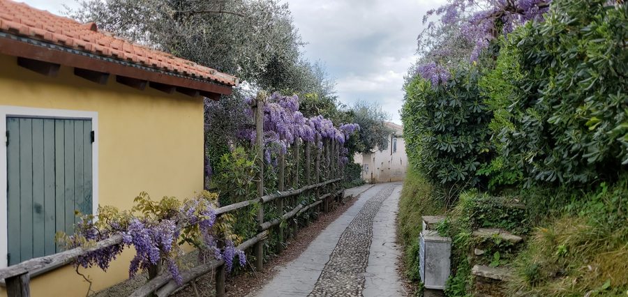 Forested mountain landscape in the regional park of Portofino