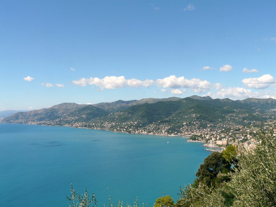 Panoramic view from San Rocco near Camogli over the Golfo Paradiso