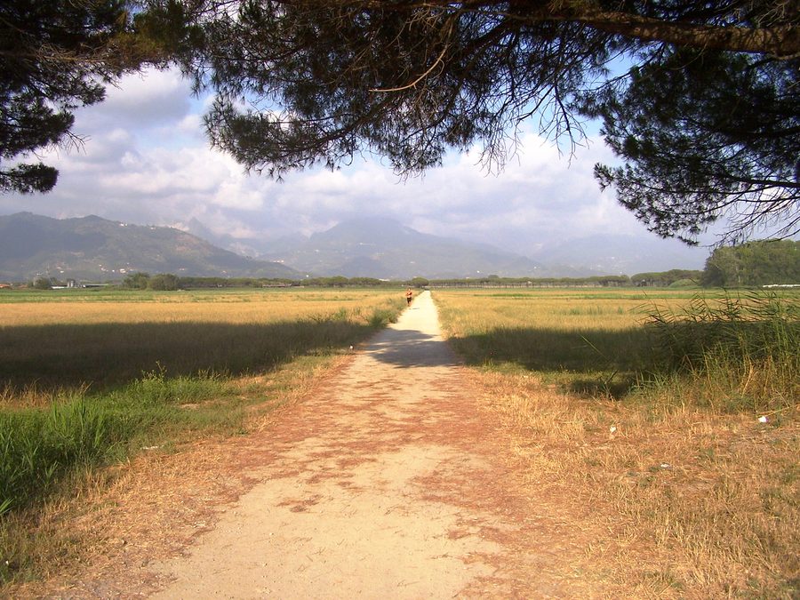 Agricultural landscape of the Tenuta di Marinella