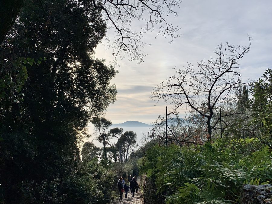 Path in the Montemarcello–Magra Regional Park