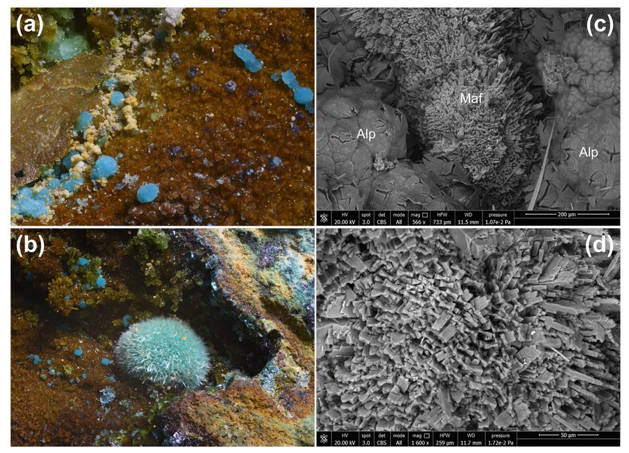 Blue spherical aggregates of the mineral Marioantofilliite from the Graveglia Valley near Ne